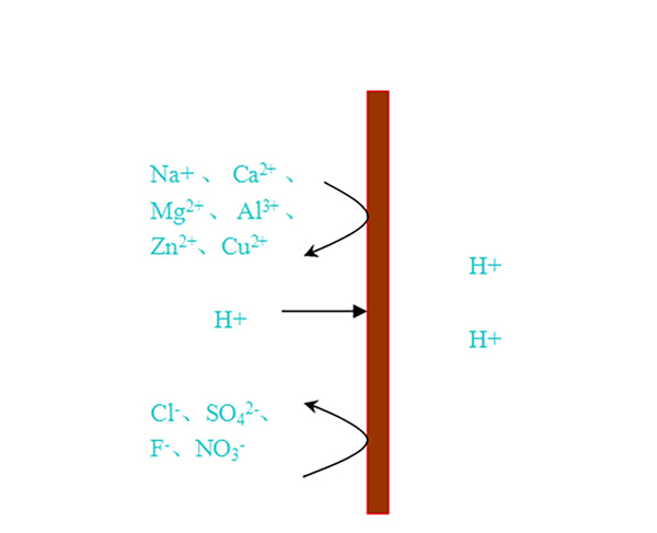 hydrogen ion-selective permeable membrane