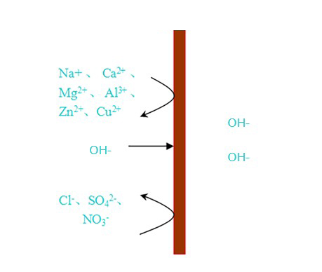 hydrogen ion-selective permeable membrane